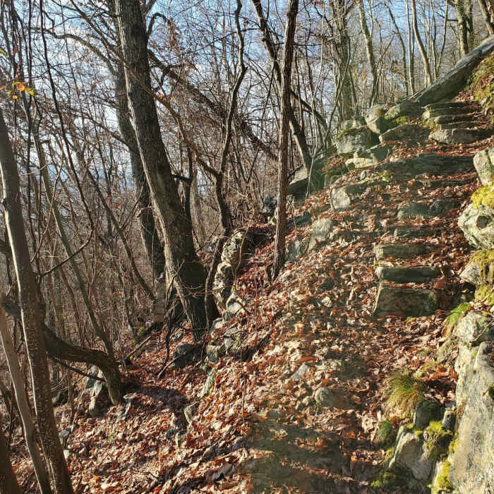 Near Shawls Gap to High Peak