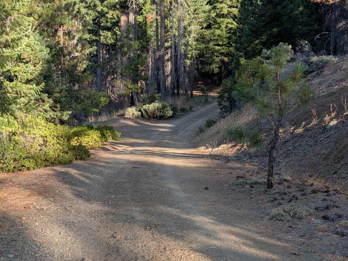 Dubakella Creek Road - FS 29N31 photo 4