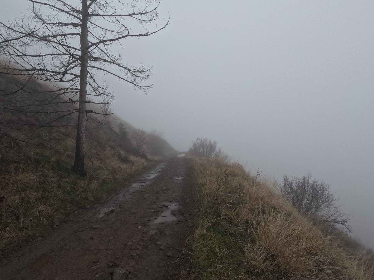 Tarpiscan Road photo 4