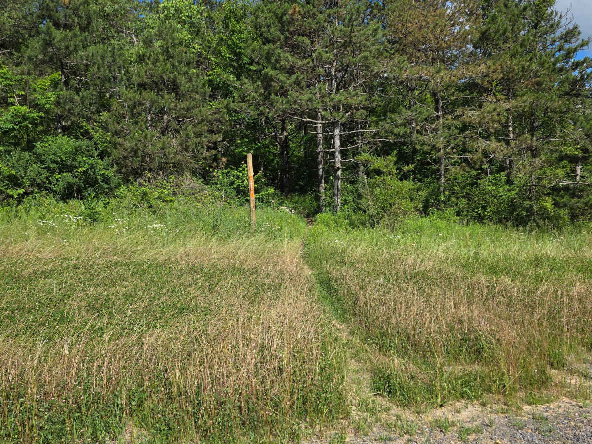 Single Track E photo 3