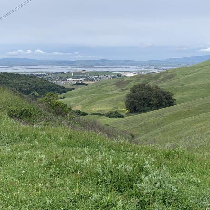 Near Bay Area Ridge Trail: Lynch Canyon Open Space