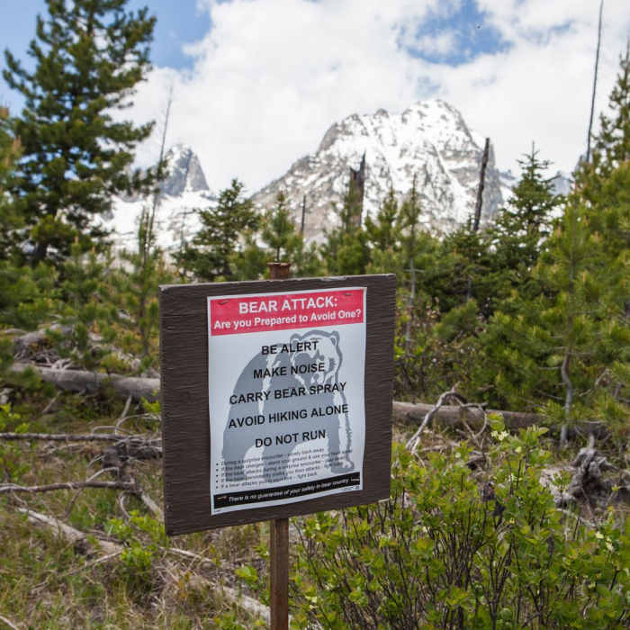 Near String Lake Loop