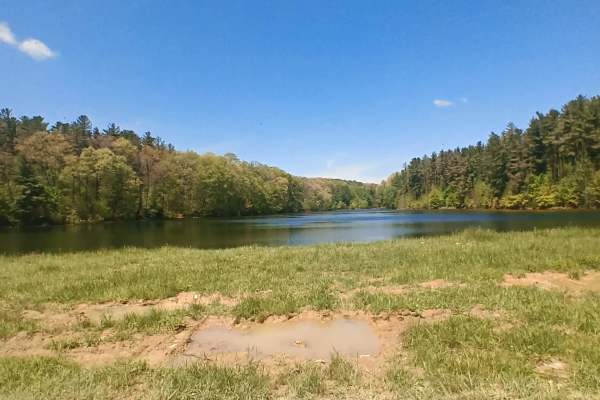 Essington Lake