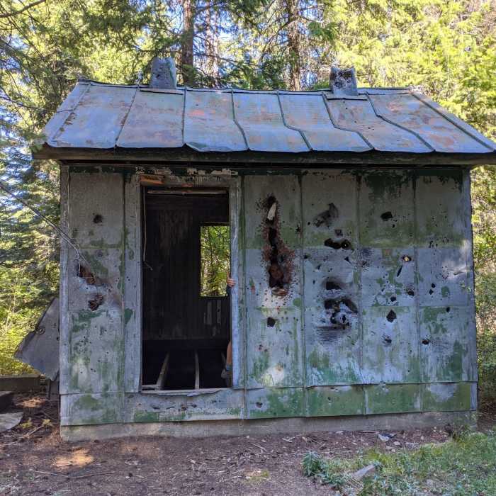 Near Trail 79 (Caribou Ridge NRT)