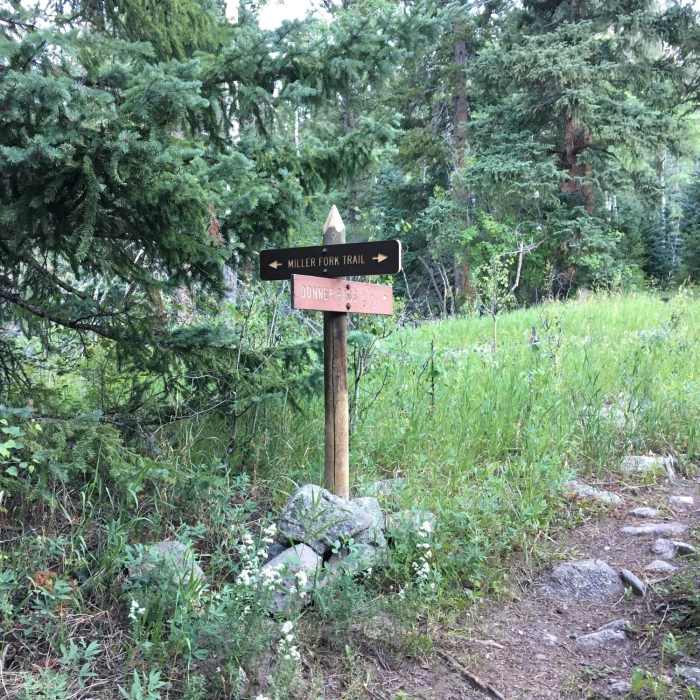 Near Donner Cutoff Trail #926-1