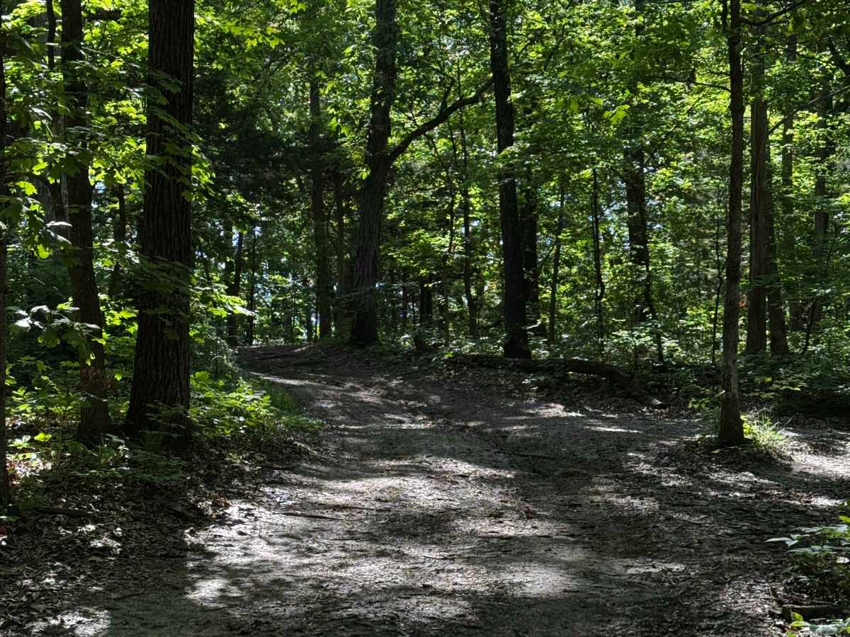 Inner Track 20 photo 2