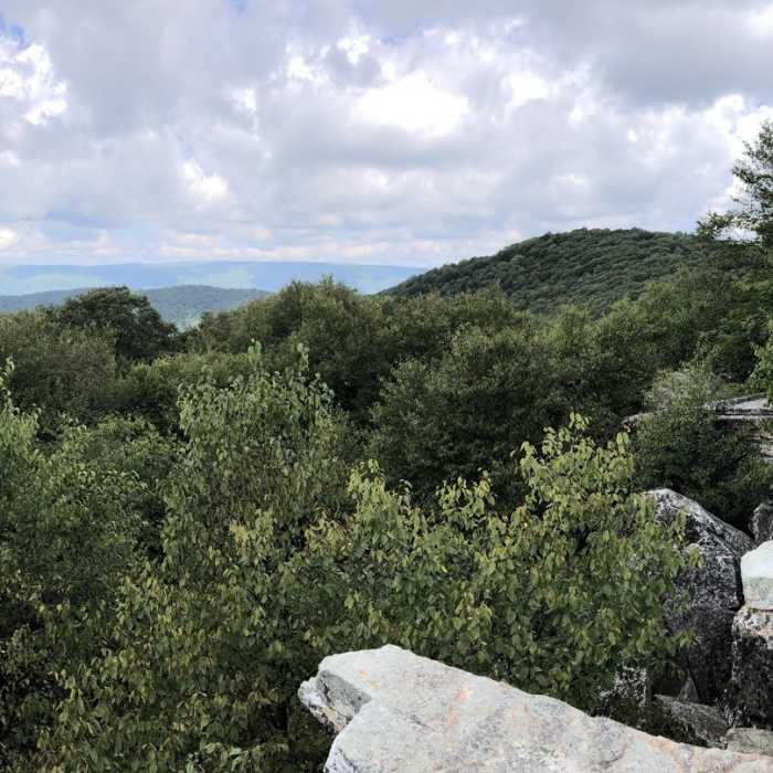 Near Kelly Knob Out and Back