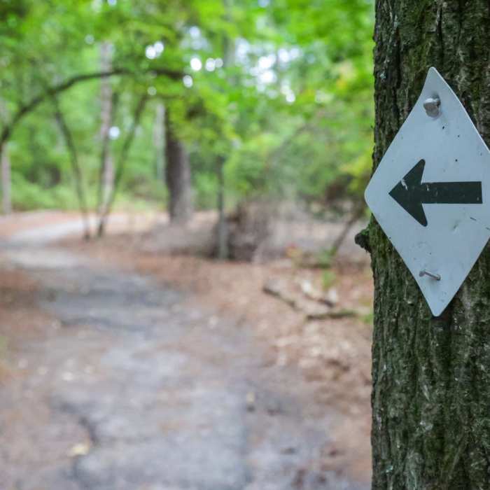 Near Sandhills Hiking Trail Near Sandhills Hiking Trail