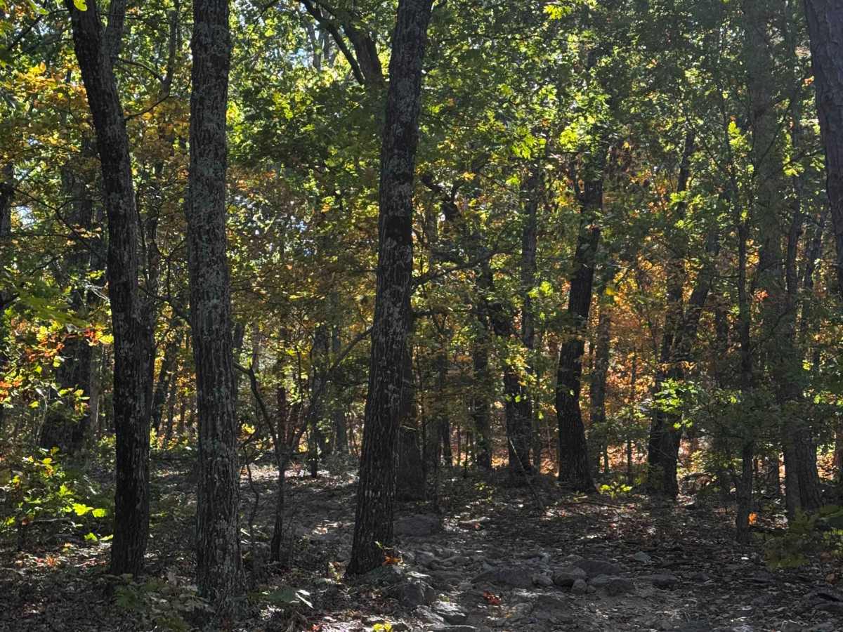 Rugged Cross trail photo