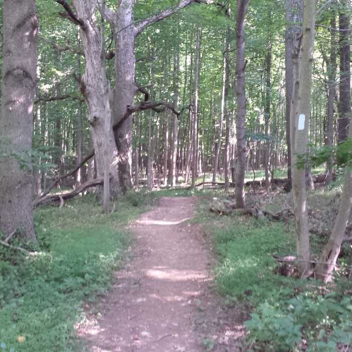 Near Osprey Heights Trail
