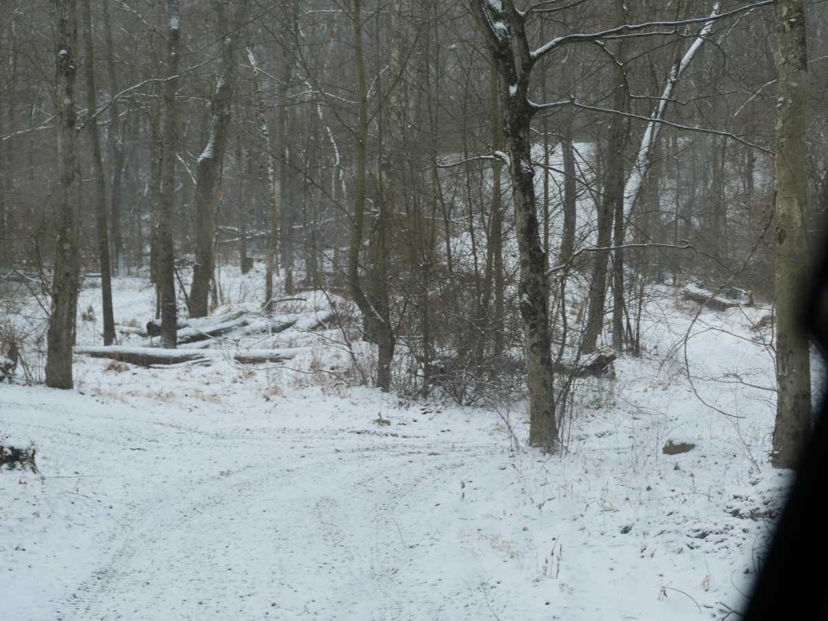 Trail 16 photo 6