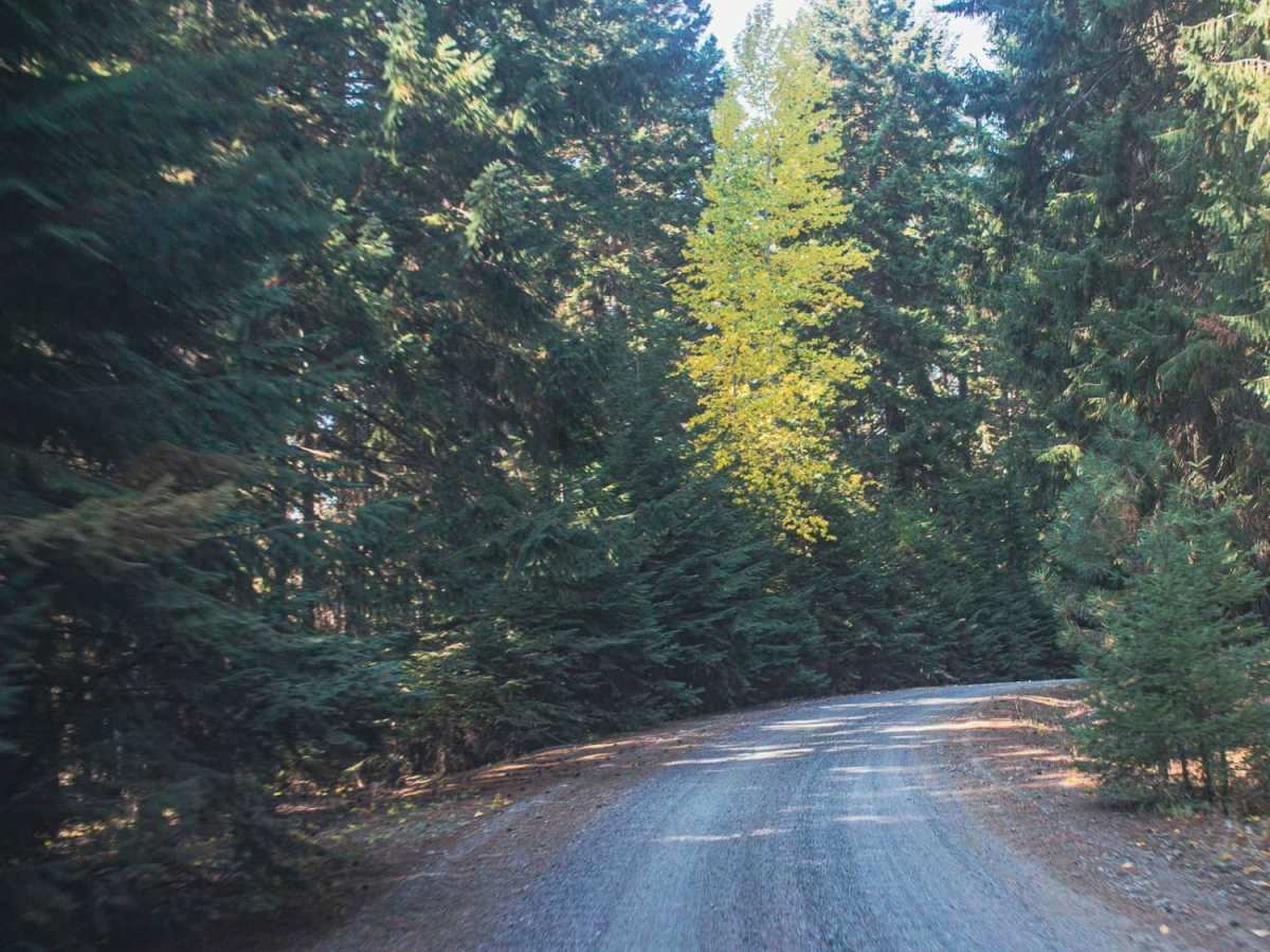 Indian Creek photo 5