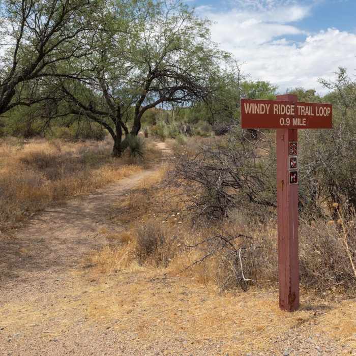 Near Windy Ridge Trail