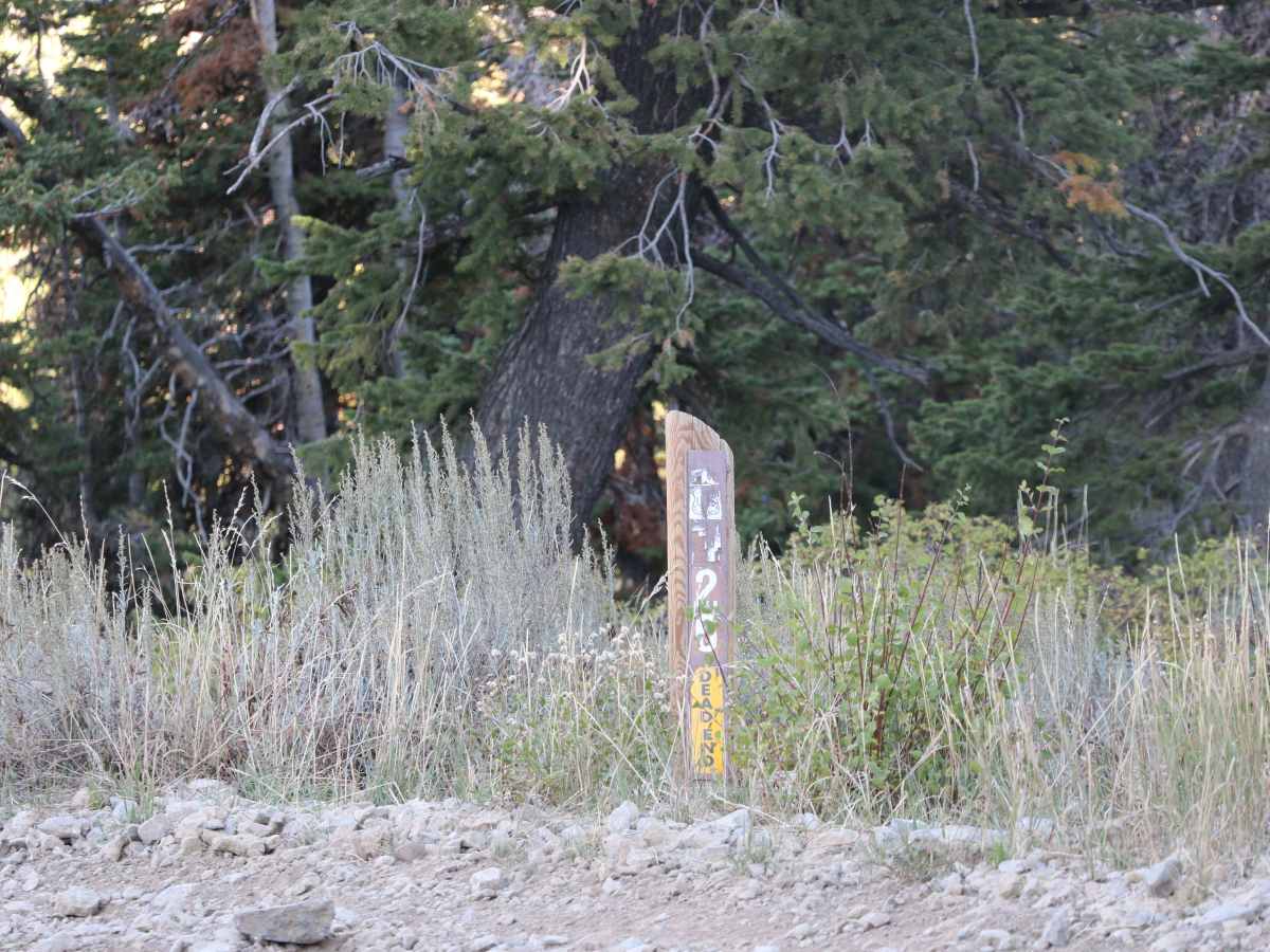 Inspiration Point - FS 20126 photo 2
