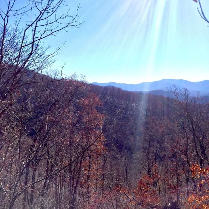 Southward mountain view through the bare trees Near Rattlesnake Lodge Loop