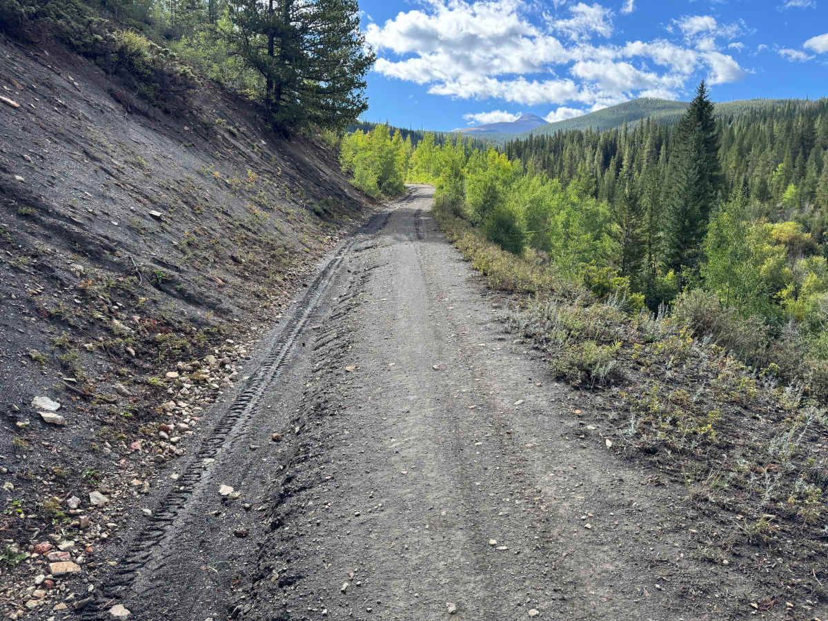 Peabody Placer photo 4