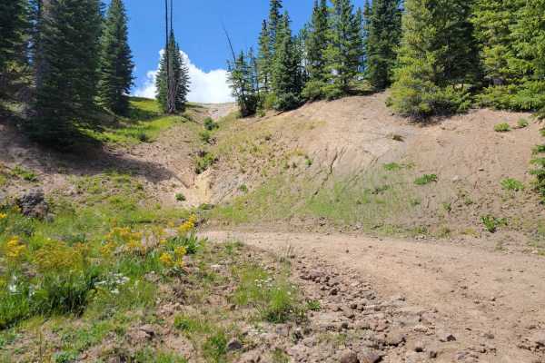 Double Creek Loop