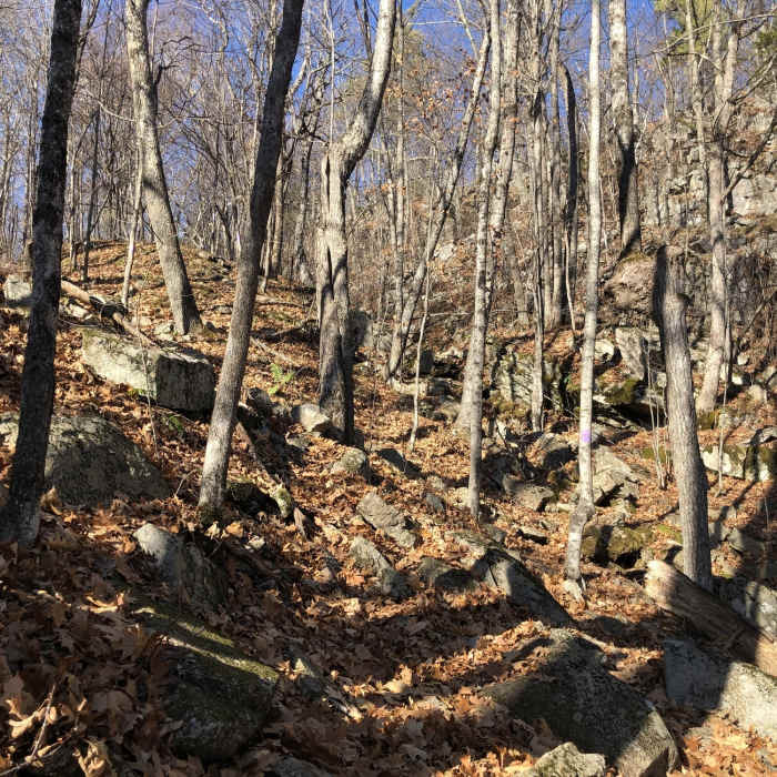 The brook that you'll hike along as you travel down the eastern side of the Precipice Path. Near Precipice Path East