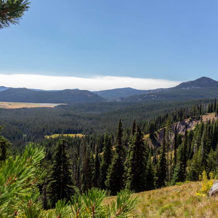 Near Soda Creek Trail #11