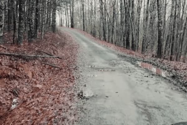 The Grade