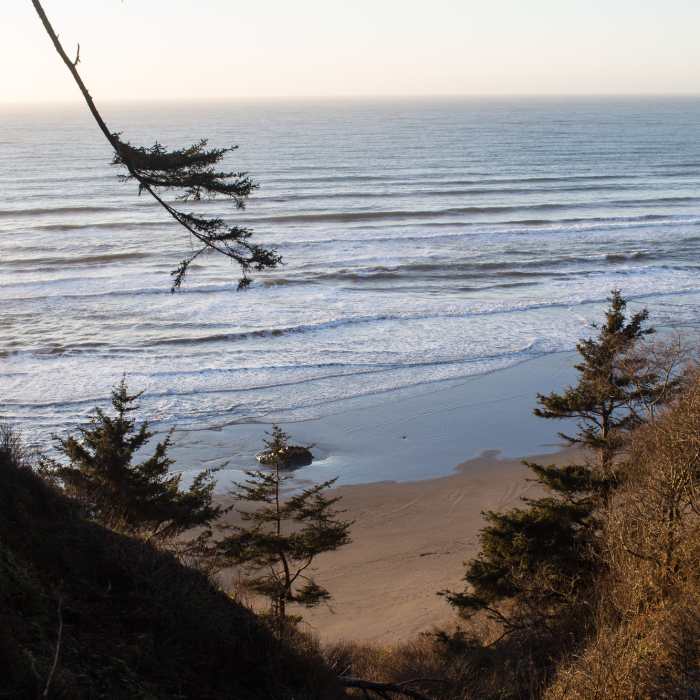Near Crescent Beach Trail