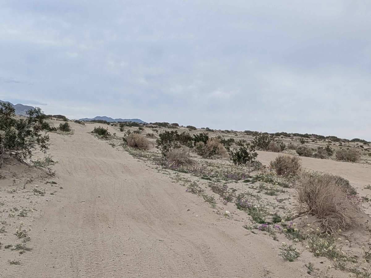 Barrel Spring Trail photo 5