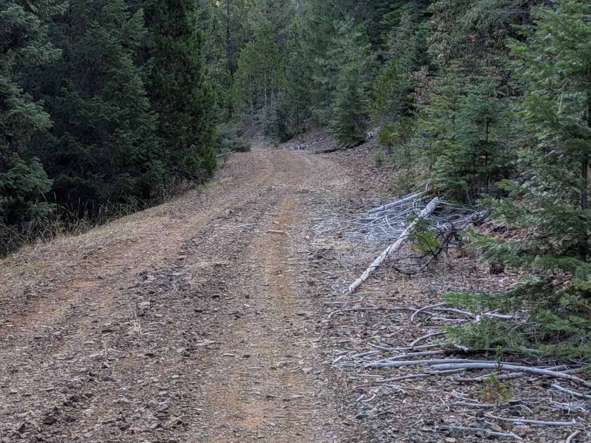 Skip Road - FS 1N28 photo 6