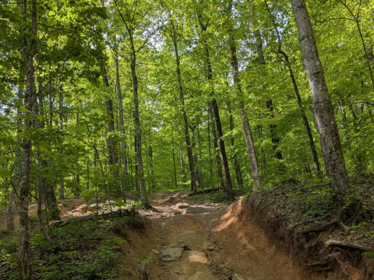 Trail 87 photo 5
