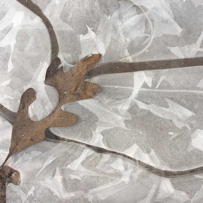 Frozen Puddle next to Montgomery Bell Loop Near Montgomery Bell Trail