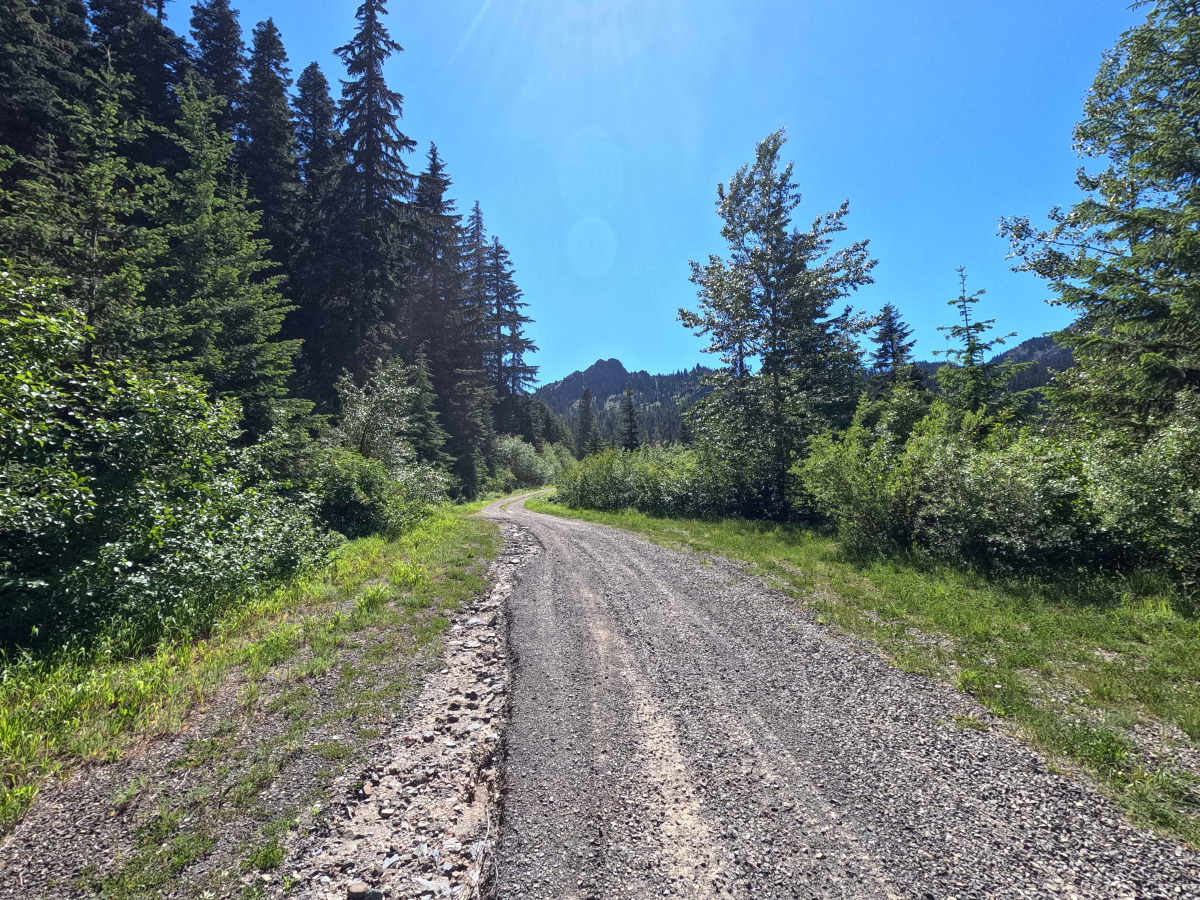 Thorp Creek - FS 4312 photo 5