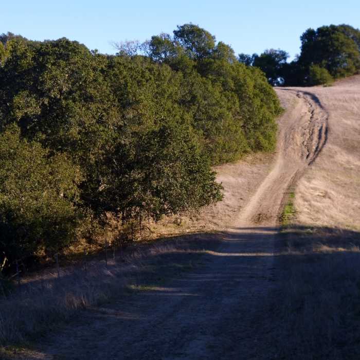 Near Briones Crest Trail