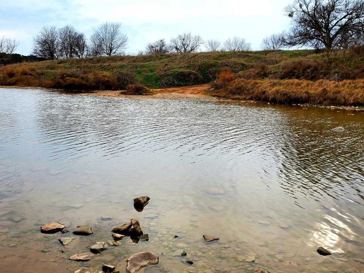 Goldthwaite Gallop photo 5