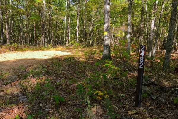 Coon Hollow - FS 2482