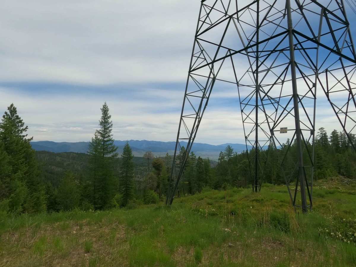 Corral Creek Rd 2146 photo 3