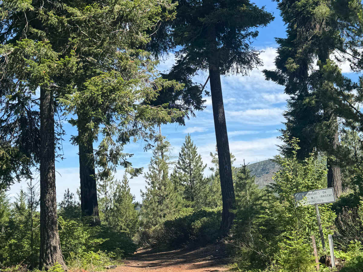 FS 2076-200 trail photo