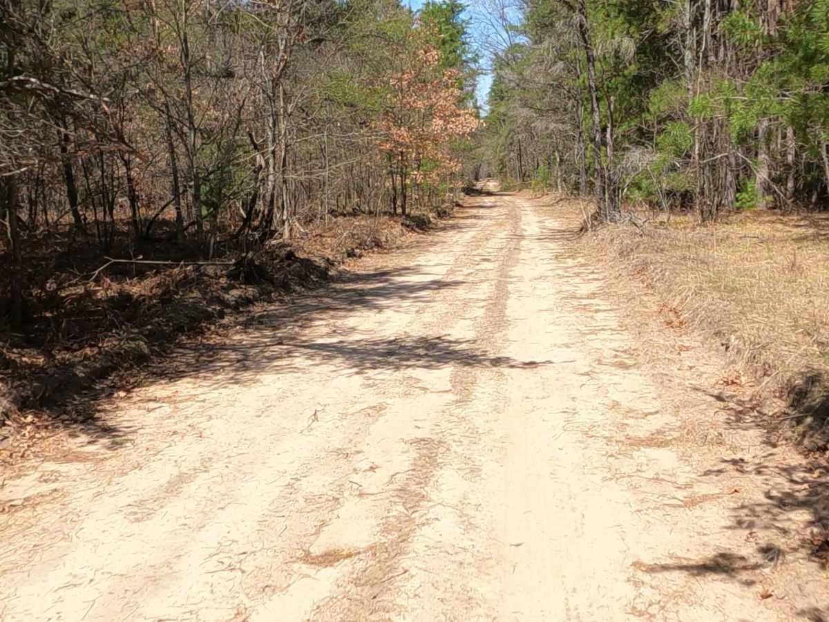 Smith Creek - FS 4779 photo 4