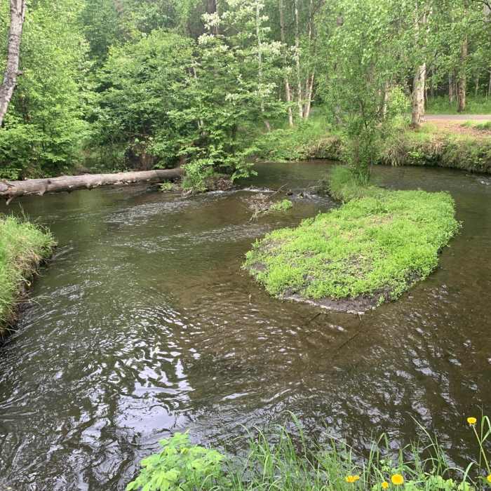 Near Chester Creek Trail