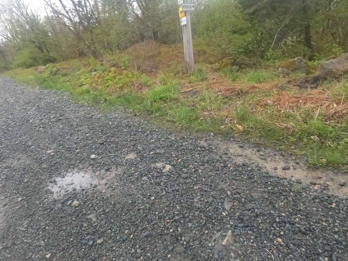 Upper Belmont Road photo 3