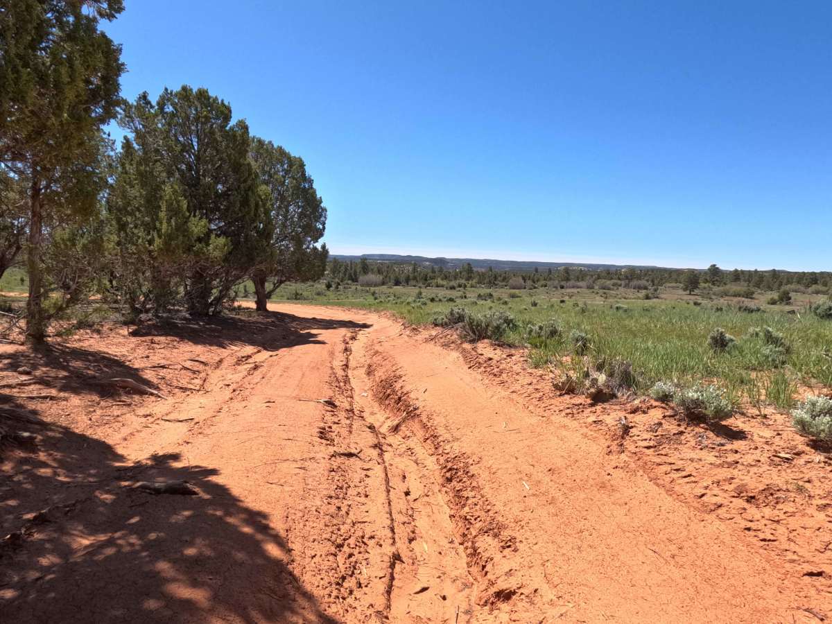 BLM 73H photo 6