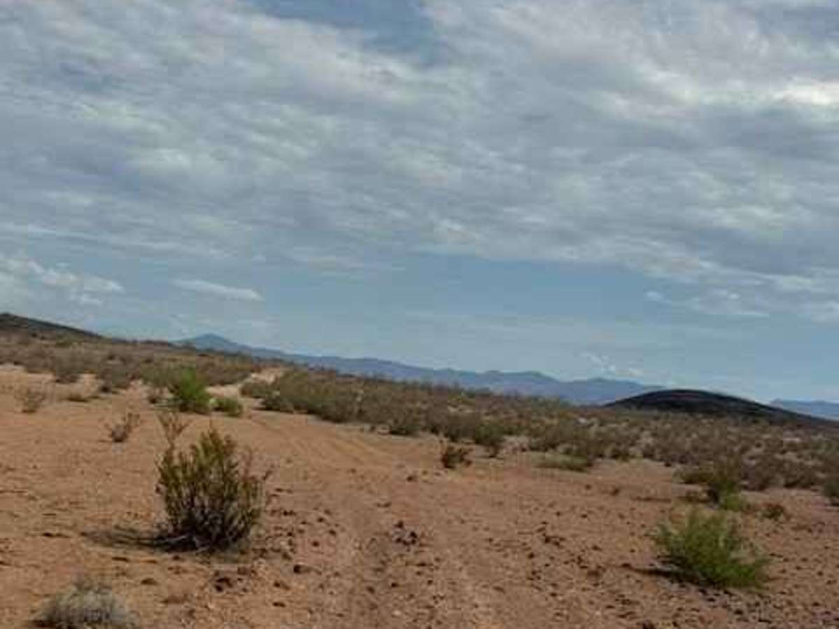 BLM PE1220 photo 2