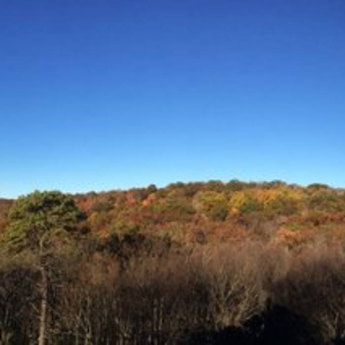 Near Cat Rock Trail