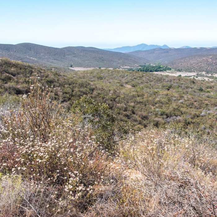 Near Martha's Grove Trail Loop