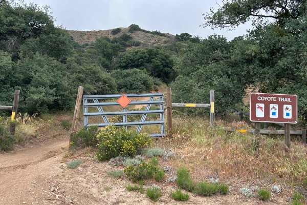 Coyote Trail