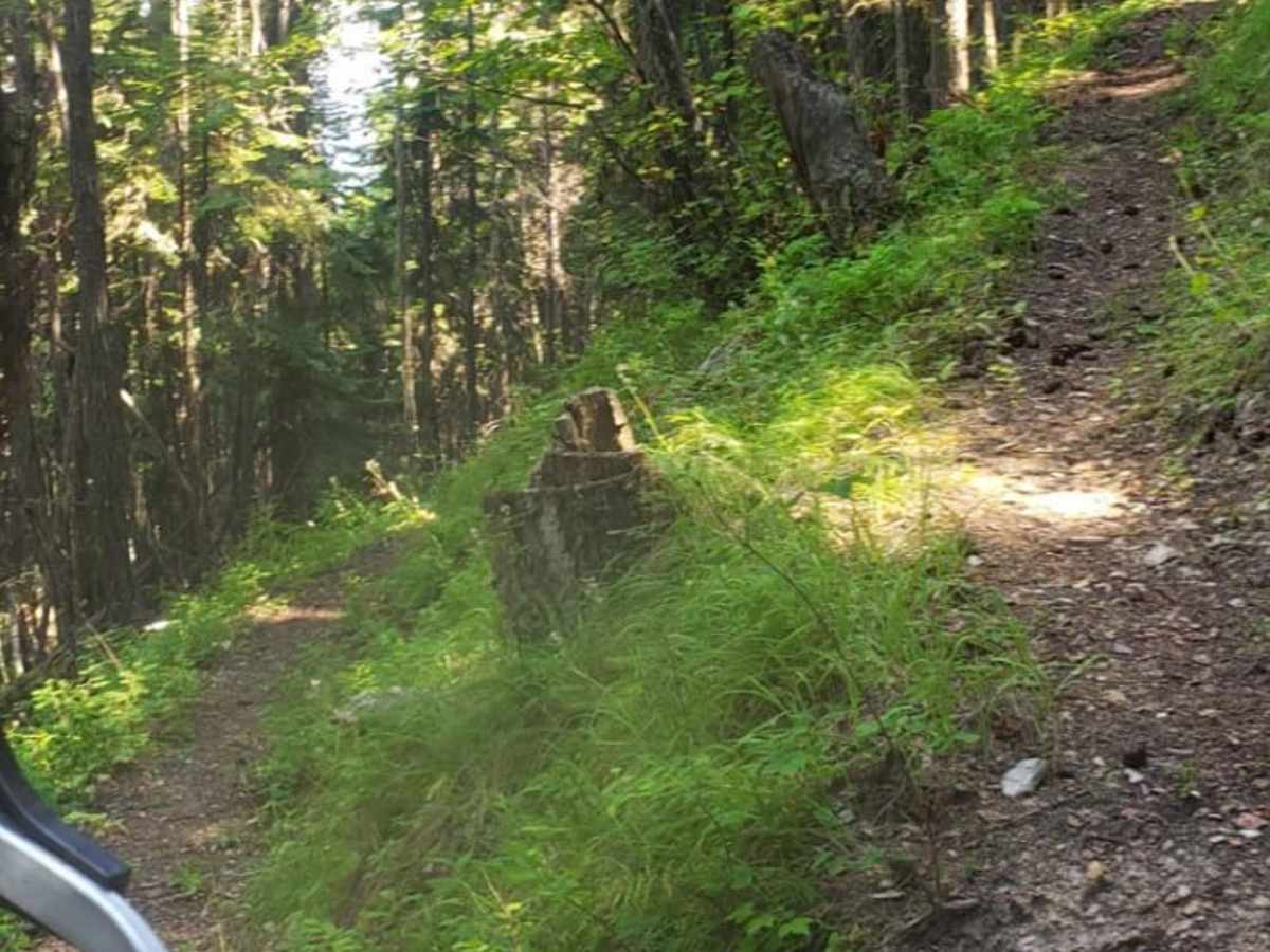 Boyd Mountain trail photo