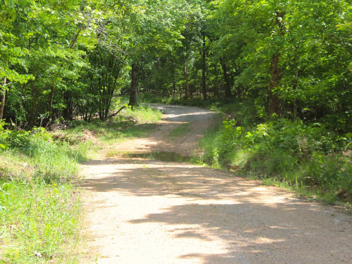 Malady Hollow - FS 3776 trail photo