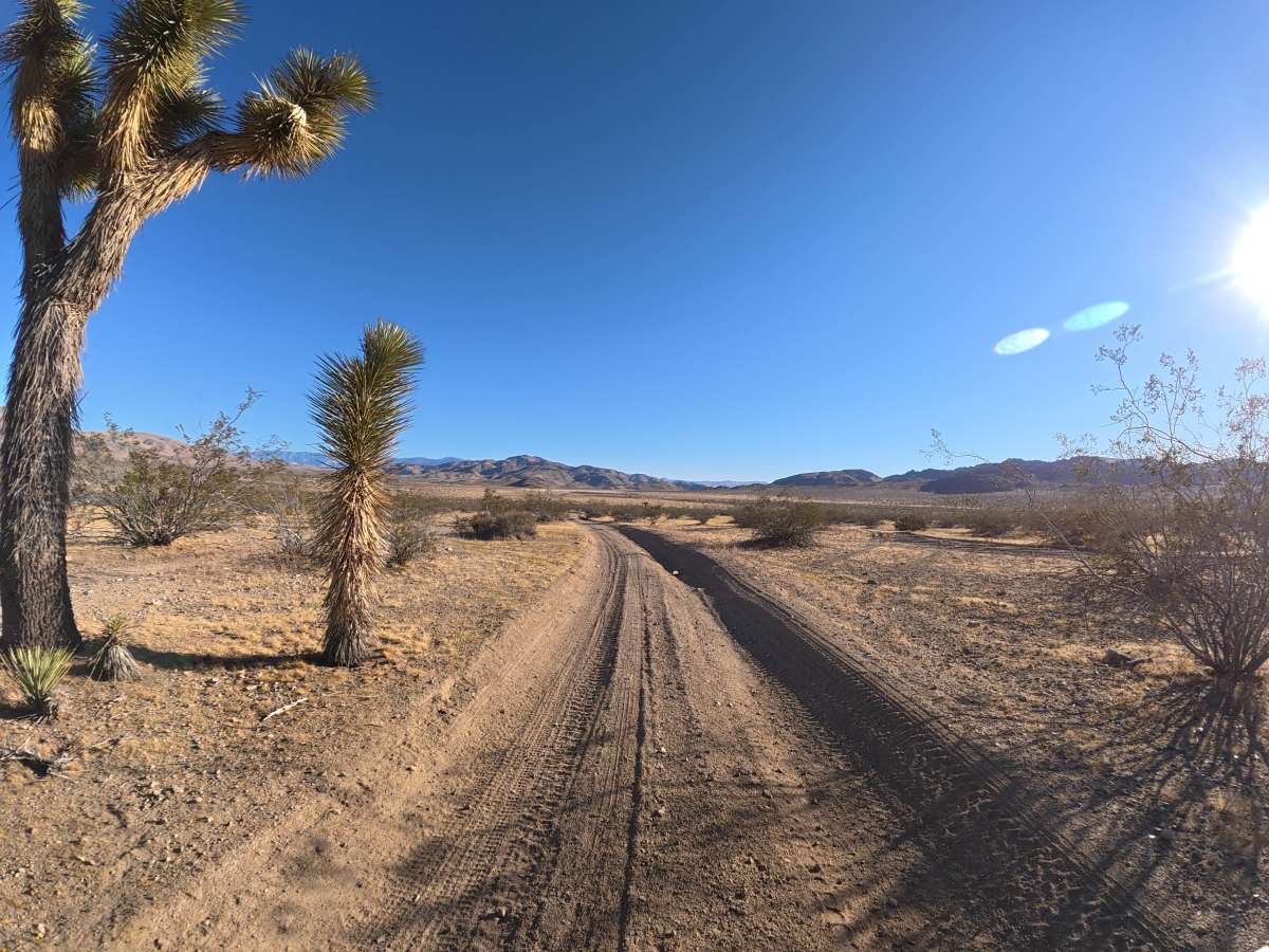 BLM SV2633 photo 4