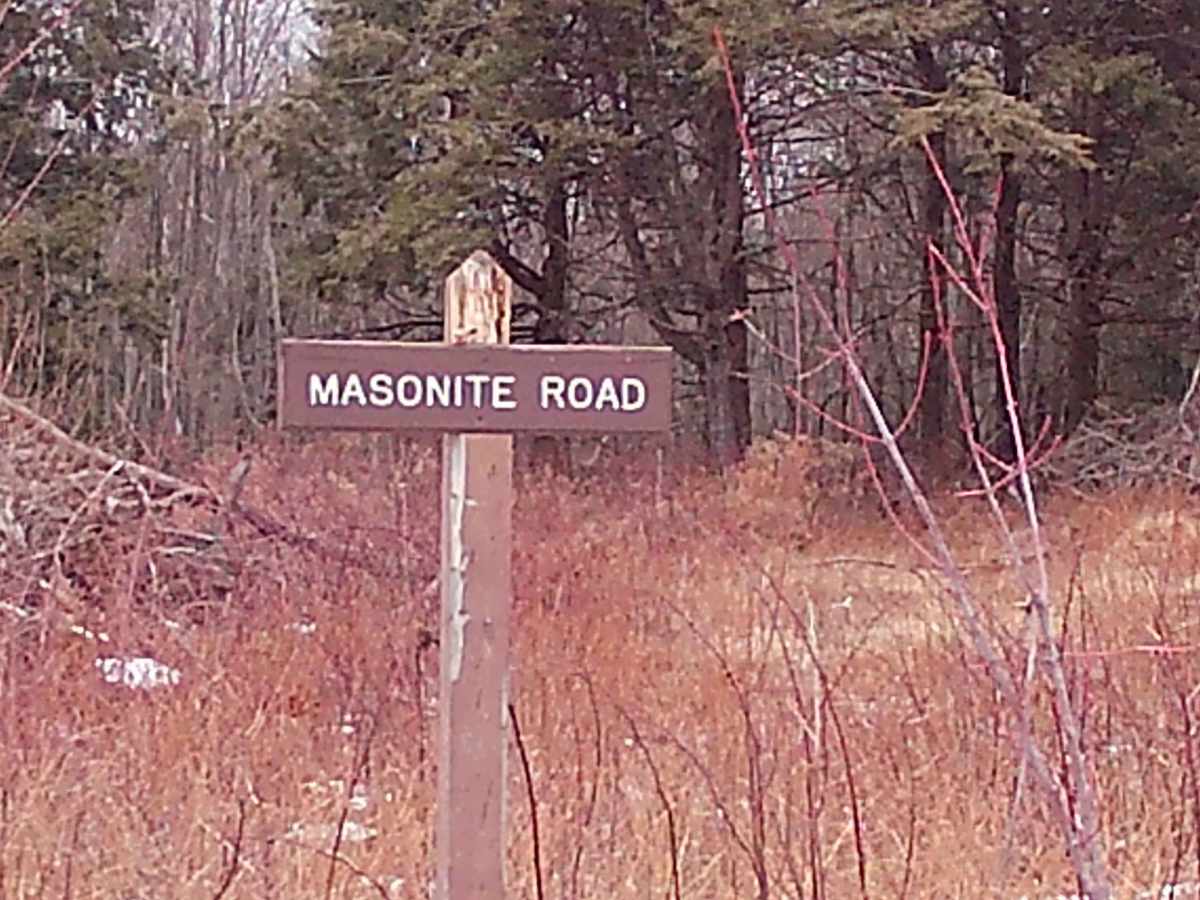 Masonite Road trail photo