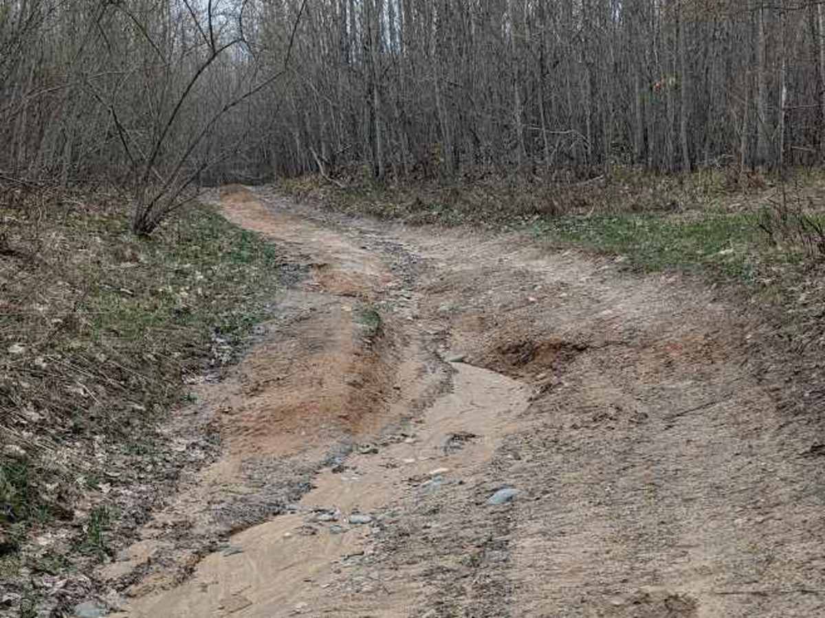 Birch Tree Trail photo 2