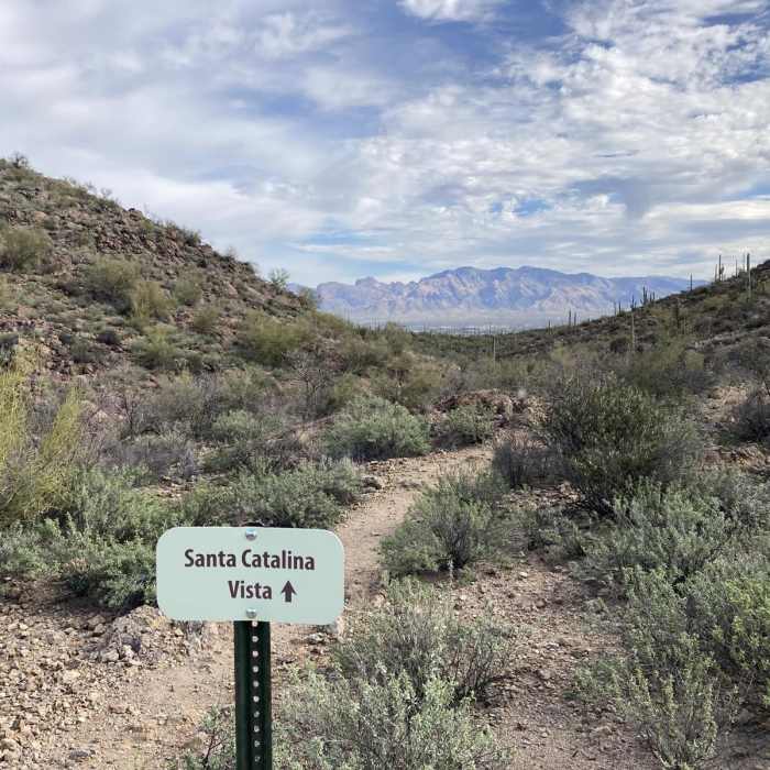 Near Mosaic Trail to Bactrian Summit