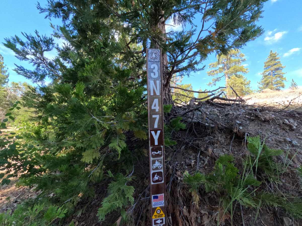 FS 3N47Y trail photo